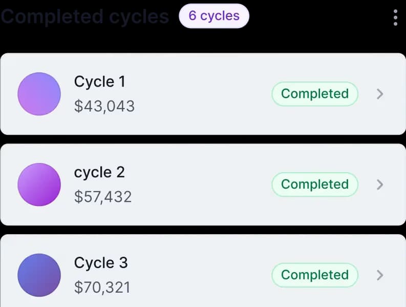 Payment cycles interface